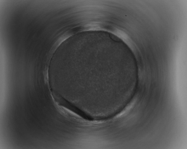 X0000096731289200802191541