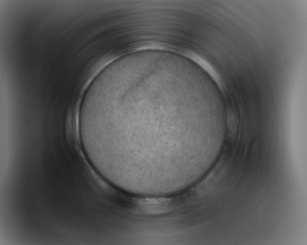 X0000096731290200802191541