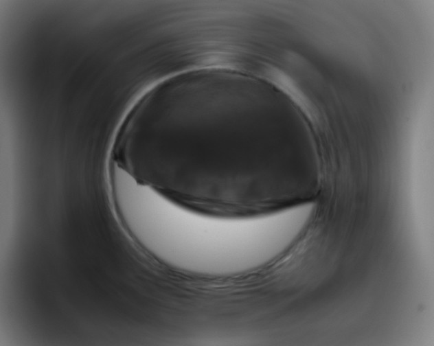X0000096731291200802191541