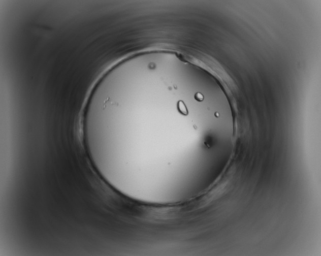 X0000096731292200802191541