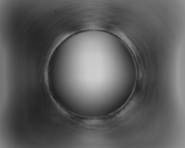 X0000096731293200802191541