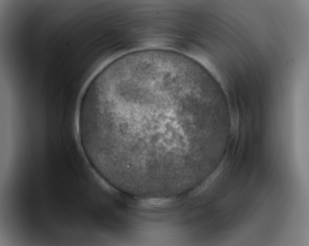 X0000096731294200802191541