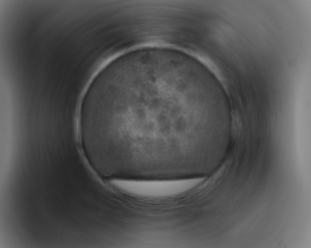 X0000096731295200802191541