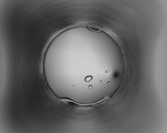 X0000096731296200802191541