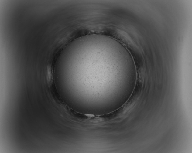 X0000096731298200802191540