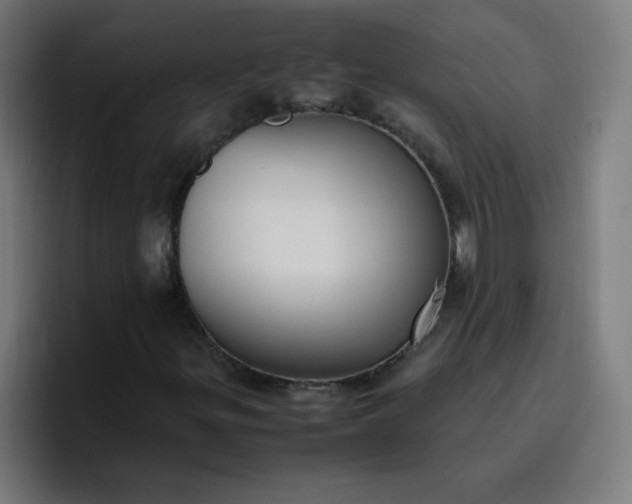 X0000096731299200802191540