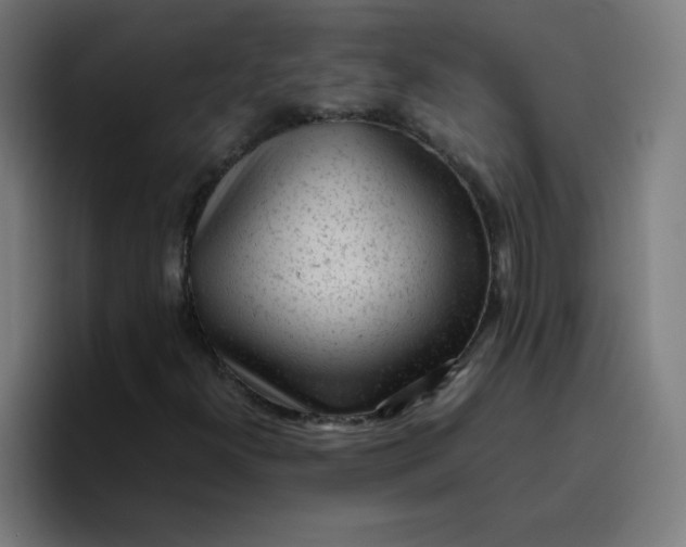 X0000096731300200802191540