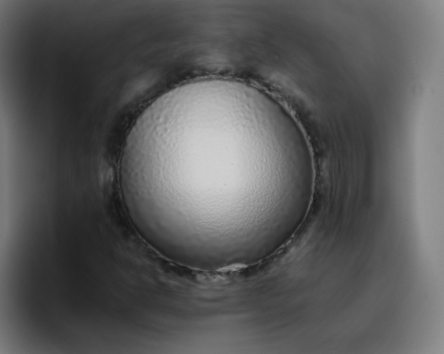 X0000096731302200802191540
