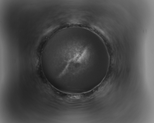 X0000096731303200802191540