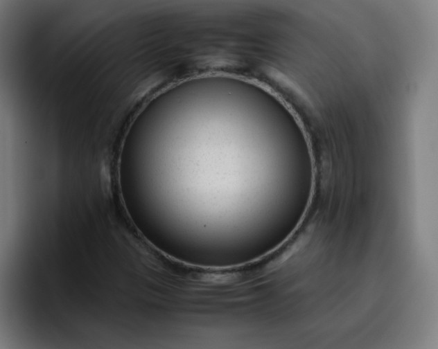 X0000096731305200802191540