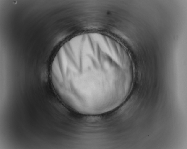 X0000096731306200802191540