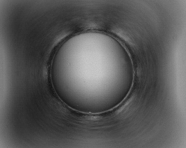 X0000096731309200802191540