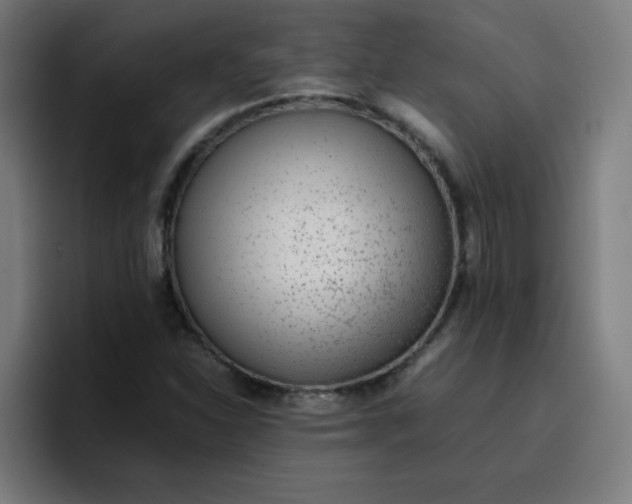 X0000096731310200802191540