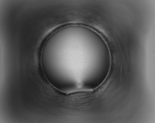 X0000096731311200802191540