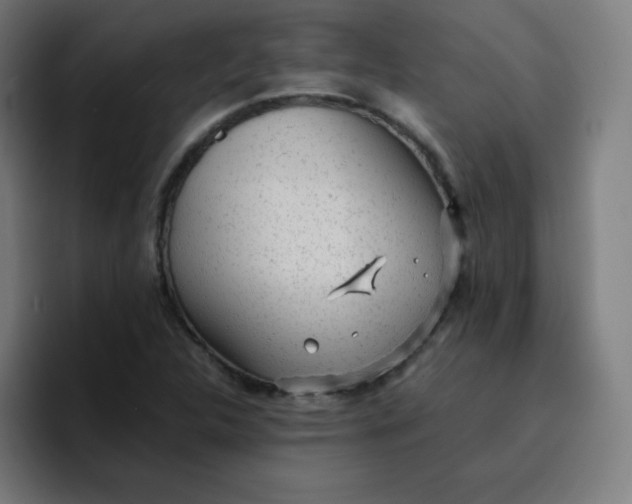 X0000096731312200802191540