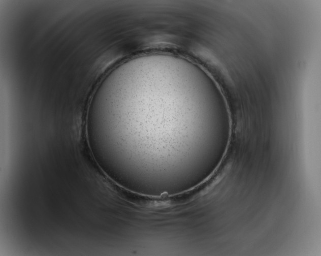 X0000096731313200802191540