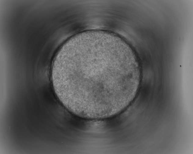 X0000096731314200802191540
