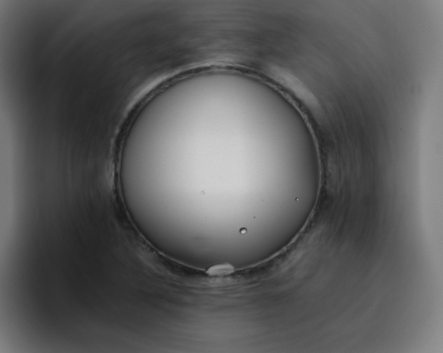 X0000096731316200802191540