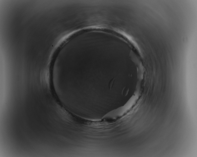 X0000096731319200802191540