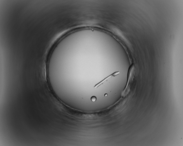 X0000096731320200802191540