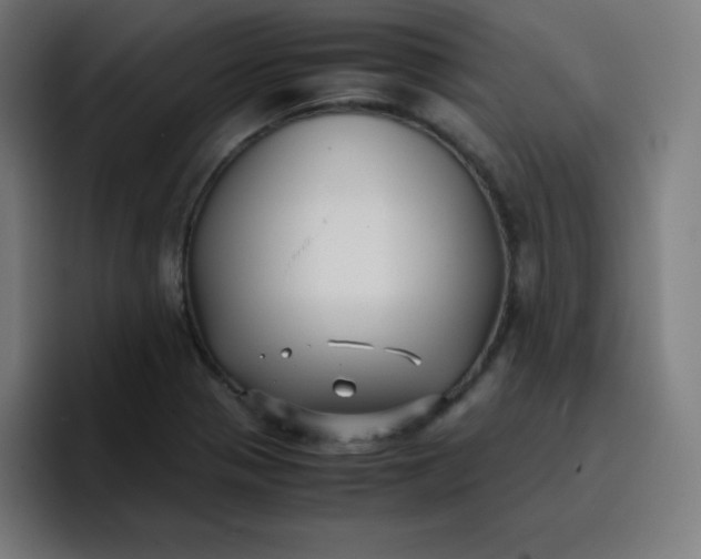 X0000096731321200802191540