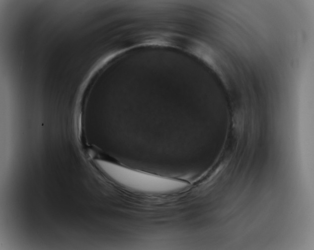 X0000096731323200802191540
