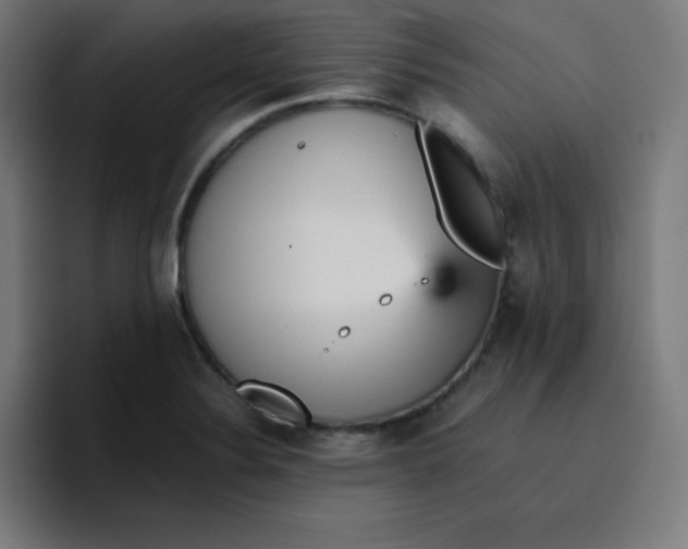 X0000096731324200802191540