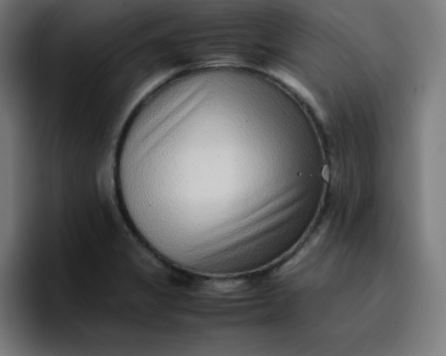 X0000096731325200802191540