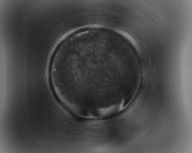 X0000096731327200802191540