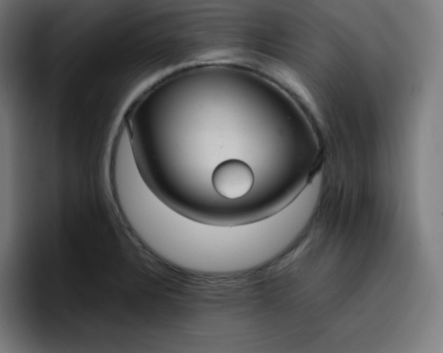 X0000096731328200802191540