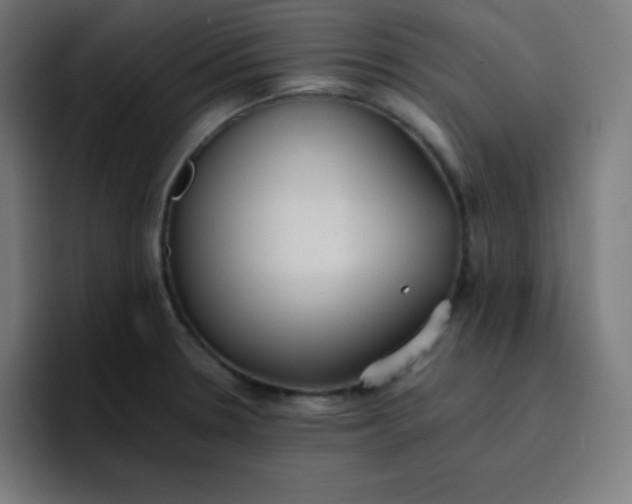 X0000096731330200802191540