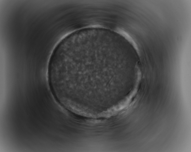 X0000096731331200802191540