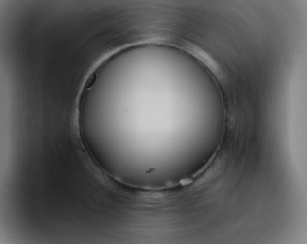 X0000096731332200802191540