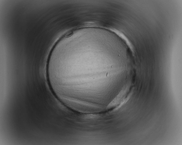 X0000096731333200802191541