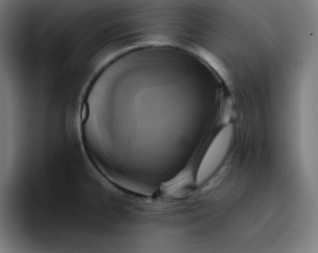 X0000096731334200802191541
