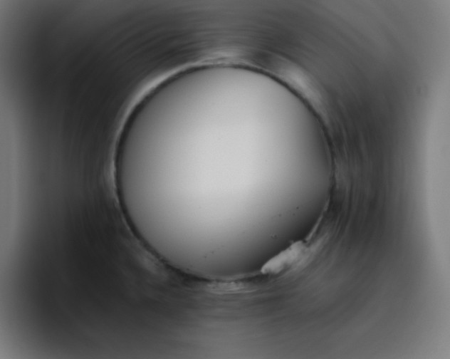 X0000096731336200802191541