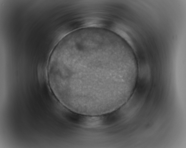 X0000096731338200802191541