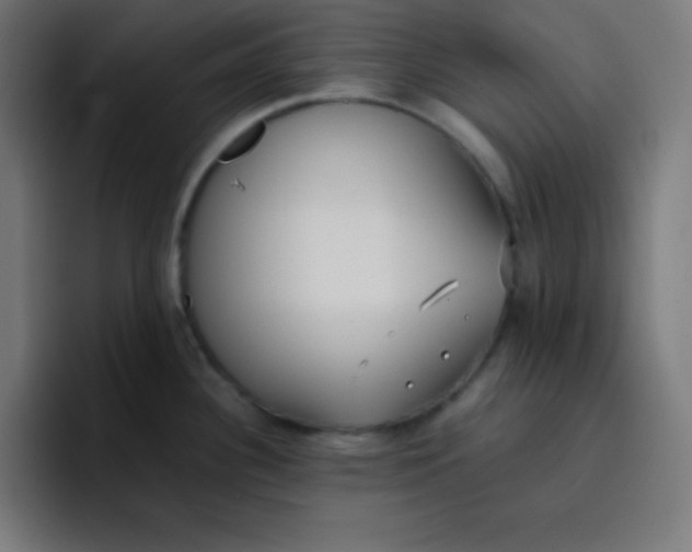 X0000096731340200802191541