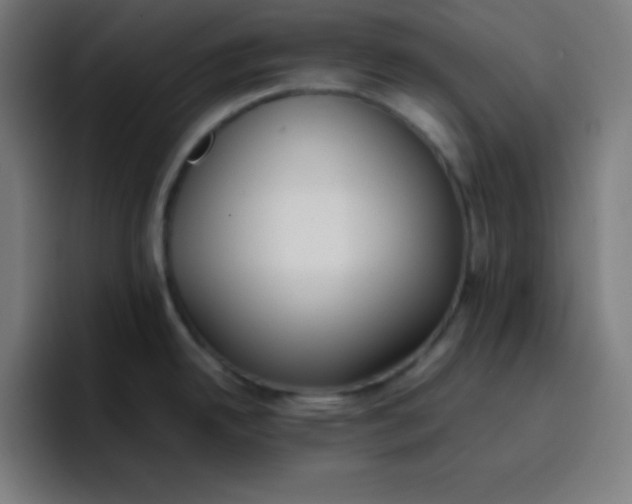 X0000096731342200802191541