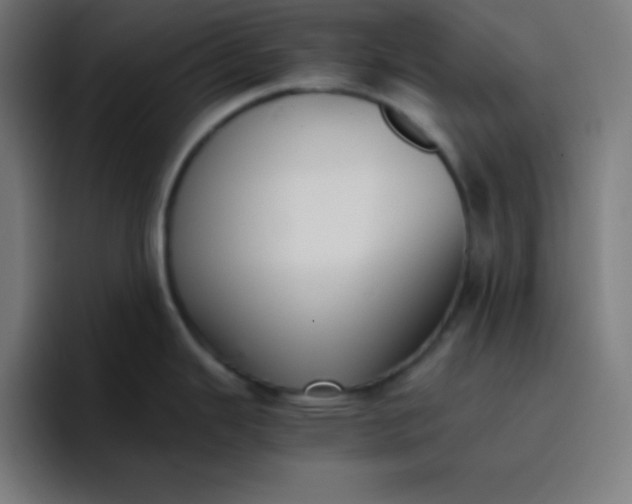 X0000096731343200802191541