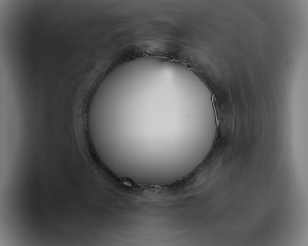 X0000096731345200802191540