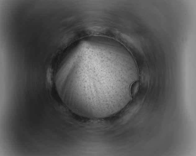 X0000096731346200802191540