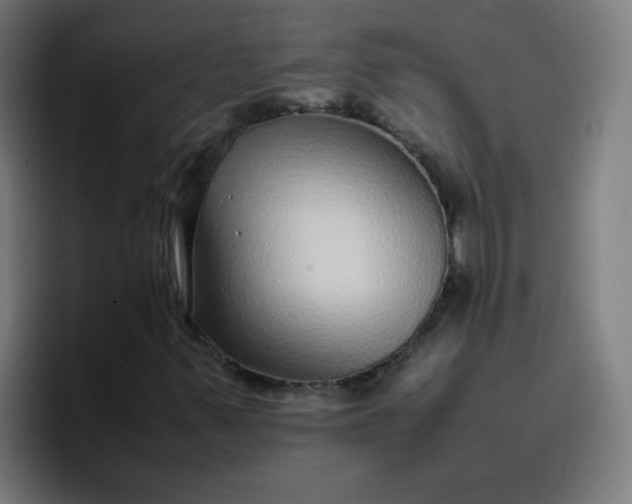 X0000096731347200802191540