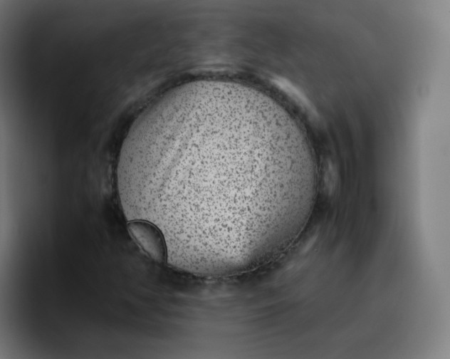 X0000096731350200802191540