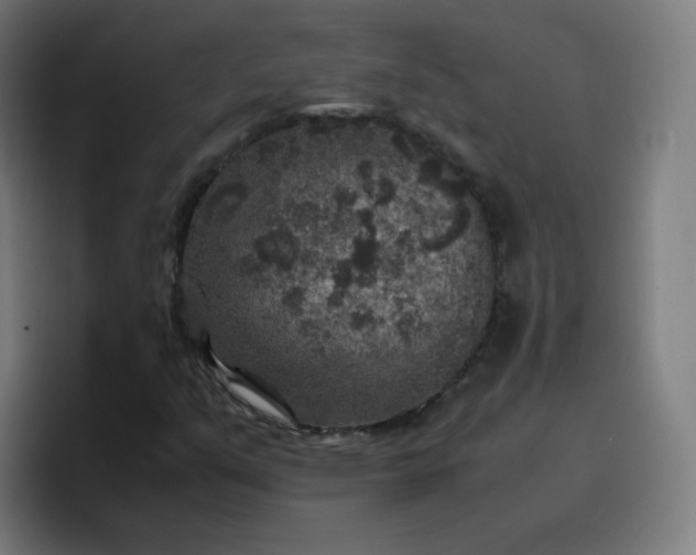 X0000096731351200802191540