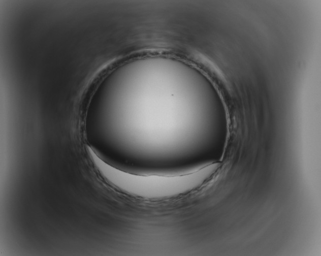 X0000096731352200802191540