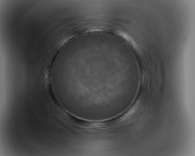 X0000096731353200802191540