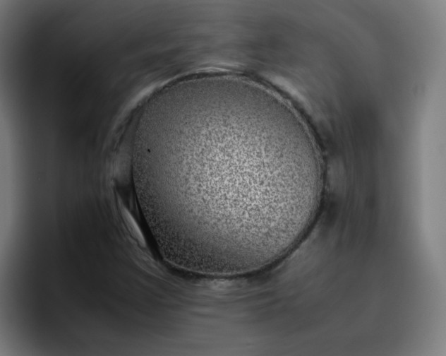 X0000096731355200802191540