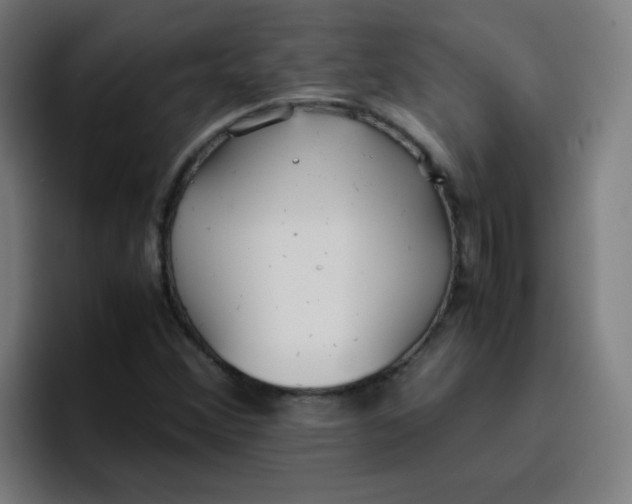 X0000096731356200802191540