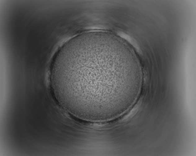 X0000096731357200802191540